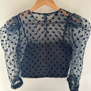 Zara Black Sheer Polka Dot Top